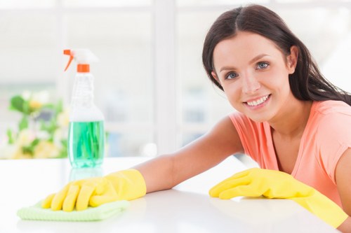 Workers in a professional cleaning supply environment