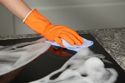 Professional carpet cleaning in a Wandsworth home living room