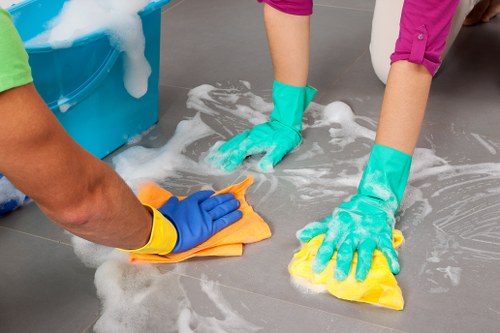 Leather sofa cleaning and conditioning treatment