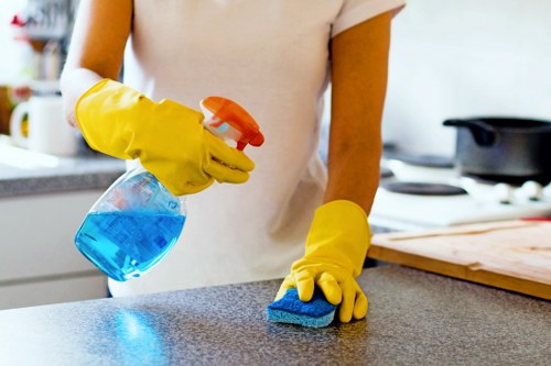 Fresh and clean home interior after pet stain odour removal in Wandsworth