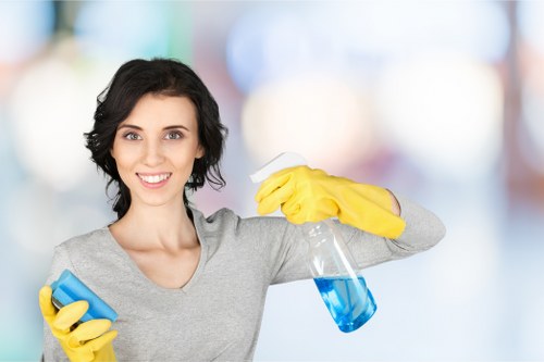 Stain removal and odour treatment during rug cleaning