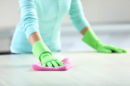 Deep carpet cleaning equipment used for pet stain odour removal