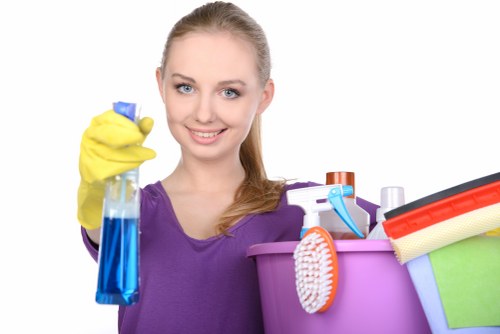 Enzyme cleaning treatment for pet odour removal in Wandsworth